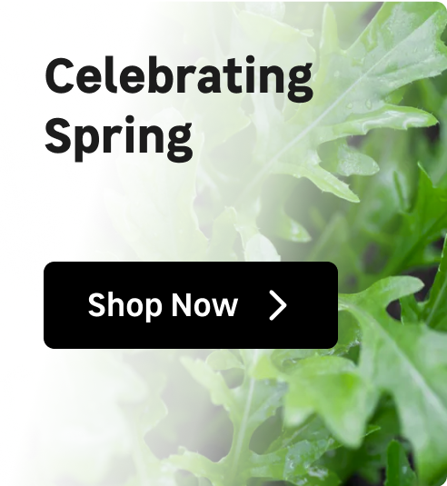 Celebrate Spring cleaning mobile