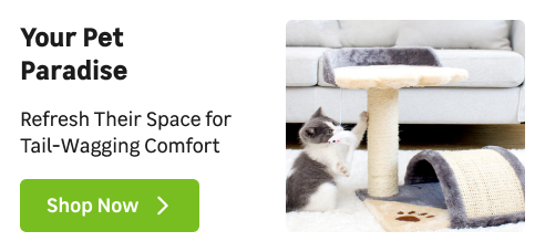 Light up|Mobile top image